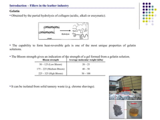 Gelatin Obtained by the partial hydrolysis of collagen (acidic, alkali or enzymatic).  The capability to form heat-reversible gels is one of the most unique properties of gelatin solutions. The Bloom strength gives an indication of the strength of a gel formed from a gelatin solution.  It can be isolated from solid tannery waste (e.g. chrome shavings). Hydrolysis Introduction – Fillers in the leather industry 50 – 100 225 – 325 (High Bloom) 40 – 50 175 – 225 (Medium Bloom) 20 – 25 50 – 125 (Low Bloom) Average molecular weight (kDa) Bloom strength 