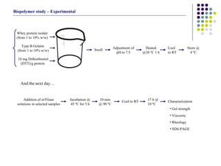 Biopolymer study – Experimental And the next day… Characterization Incubation @ 45 ºC for 5 h Addition of mTGase solutions in selected samples 10 min @ 90 ºC Cool to RT 17 h @ 10 ºC Gel strength Viscosity Rheology SDS-PAGE Whey protein isolate (from 1 to 10% w/w) Type B Gelatin  (from 1 to 10% w/w) 10 mg Dithiothreitol (DTT)/g protein  Swell Heated @38 ºC 1 h Cool to RT Adjustment of pH to 7.5 Store @ 4 ºC 