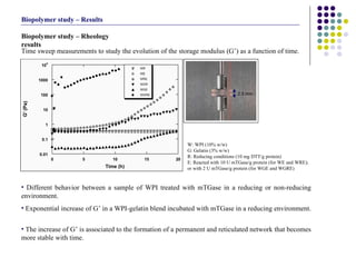 Biopolymer study – Rheology results W: WPI (10% w/w) G: Gelatin (3% w/w) R: Reducing conditions (10 mg DTT/g protein) E: Reacted with 10 U mTGase/g protein (for WE and WRE); or with 2 U mTGase/g protein (for WGE and WGRE) Time sweep measurements to study the evolution of the storage modulus (G’) as a function of time. Different behavior between a sample of WPI treated with mTGase in a reducing or non-reducing environment. Exponential increase of G’ in a WPI-gelatin blend incubated with mTGase in a reducing environment.  The increase of G’ is associated to the formation of a permanent and reticulated network that becomes more stable with time. Biopolymer study – Results 2.5 mm 