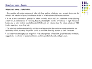 The addition of minor amounts of relatively low quality gelatin to whey protein improves the strength and stability of gels formed by the action of mTGase in a reducing environment.  When a small amount of gelatin was added to WPI, before mTGase treatment under reducing conditions, a dramatic rise in viscosity, higher gel strengths, and the appearance of high molecular bands due to inter-protein crosslinking in SDS-PAGE gel patterns than for either gelatin or WPI treated separately were observed.  The reducing environment partially unfolds the whey proteins, increasing access to glutamine and lysine side chains, favoring the gelatin chains to crosslink the whey proteins to form a network. The improvement in physical properties over either protein component, given the same treatment, suggests the possibility of greater utilization and new products from these byproducts.  Biopolymer study – Conclusions Biopolymer study – Results 