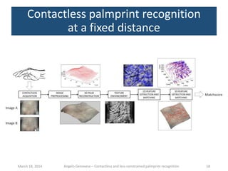 Contactless and less-constrained palmprint recognition - Ph.D ...