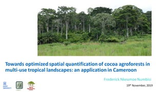 FORSIT
Towards optimized spatial quantification of cocoa agroforests in
multi-use tropical landscapes: an application in Cameroon
Frederick Nkeumoe Numbisi
19th November, 2019
 