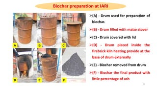 Effect of Biochar on Crop Productivity and Soil Health | PPT