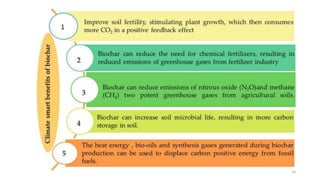 Effect of Biochar on Crop Productivity and Soil Health | PPT