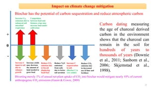 Effect of Biochar on Crop Productivity and Soil Health | PPT
