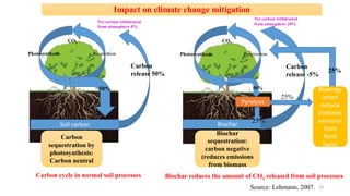 Effect of Biochar on Crop Productivity and Soil Health | PPT