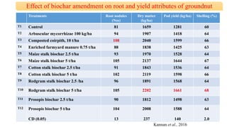 Effect of Biochar on Crop Productivity and Soil Health | PPT