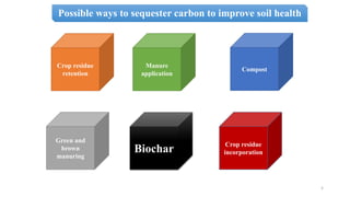 Effect of Biochar on Crop Productivity and Soil Health | PPT