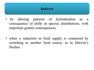 Indirect
• by altering patterns of hybridization as a
consequence of shifts in species distributions, with
important genetic consequences.
• when a reduction in food supply is countered by
switching to another food source, as in Darwin’s
finches.
 