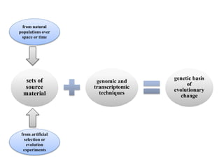 sets of
source
material
genomic and
transcriptomic
techniques
genetic basis
of
evolutionary
change
from artificial
selection or
evolution
experiments
from natural
populations over
space or time
 