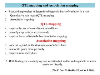 QTL mapping and Association mapping
• Standard approaches to determine the genetic basis of variation in a trait
1. Quantitative trait locus (QTL) mapping
2. Association mapping
QTL mapping
• requires the use of recombinant inbred lines
• can only map traits to a coarse scale
• requires fewer individuals than association mapping.
Association mapping
• does not depend on the development of inbred lines
• can locate genes more precisely
• requires more individuals
 Both find a gene’s underlying trait variation but neither is designed to examine
evolution directly.
(Zhu C, Gore M, Buckler ES and Yu J. 2008)
 