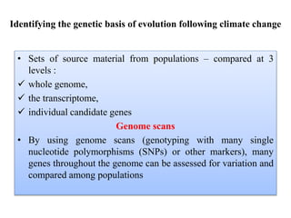 Identifying the genetic basis of evolution following climate change
• Sets of source material from populations – compared at 3
levels :
 whole genome,
 the transcriptome,
 individual candidate genes
Genome scans
• By using genome scans (genotyping with many single
nucleotide polymorphisms (SNPs) or other markers), many
genes throughout the genome can be assessed for variation and
compared among populations
 