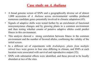 Case study on A. thaliana
• A broad genome screen of SNPs and a geographically diverse set of almost
1,000 accessions of A. thaliana across environmental variables produced
numerous candidate genes potentially involved in climatic adaptation (43).
• Signals of adaptive shifts were tested further by an enrichment of functional
nonsynonymous changes and by growing plants in a common environment
and then testing whether counts of putative adaptive alleles could predict
fitness in this environment.
• This analysis showed a strong correlation between fitness in the common
environment and the number of favored alleles, confirming the validity of the
initial screen.
• In a different set of experiments with Arabidopsis, plants from multiple
inbred lines were grown in four sites differing in climate, and SNPs at each
location were associated with survival and reproductive output (32);
• SNPs with substantial effects were identified, and these proved to be locally
abundant at two of the sites.
 