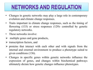 • Changes in genetic networks may play a large role in contemporary
evolution and climate change responses.
• Traits important in climate change responses, such as the timing of
flowering (133) or stress responses (129)- controlled by genetic
regulatory networks.
• These networks involve:
 multiple genes and gene products,
 transcription factors, and
 proteins that interact with each other and with signals from the
internal and external environment to produce a phenotype suited to
given conditions (136).
• Changes in specific genes within genetic networks influence the
expression of genes, and changes within biochemical pathways
ultimately dictate how genetic changes influence phenotypes.
 