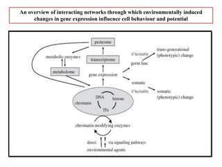 An overview of interacting networks through which environmentally induced
changes in gene expression influence cell behaviour and potential
 