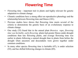 Flowering Time
• Flowering time - important trait in plants and highly relevant for genetic
adaptation to climate change.
• Climatic conditions have a strong effect on reproductive phenology and the
relationship between flowering time and fitness (101).
• Previous studies have shown that flowering time meets several of the
criteria to demonstrate the genetic basis of an evolutionary response to
climate change.
• One study (35) found that in the annual plant Brassica rapa, flowering
time was heritable, early flowering plants had greater fitness under drought
conditions than late flowering plants, and average flowering time was
earlier in plants following a natural drought than in plants from before the
drought when ancestors and descendants were grown together under
common conditions.
• In many other species flowering time is heritable (47), is under selection
(52), and has shifted following changes in climate (85).
 