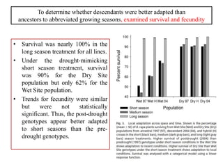 To determine whether descendants were better adapted than
ancestors to abbreviated growing seasons, examined survival and fecundity
• Survival was nearly 100% in the
long season treatment for all lines.
• Under the drought-mimicking
short season treatment, survival
was 90% for the Dry Site
population but only 62% for the
Wet Site population.
• Trends for fecundity were similar
but were not statistically
significant. Thus, the post-drought
genotypes appear better adapted
to short seasons than the pre-
drought genotypes.
 