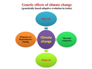 Genetic effects of climate change
(genetically based adaptive evolution in traits)
Climate
change
Body size
Thermal
responses
Dispersal
Diapause or
Reproductive
timing
 