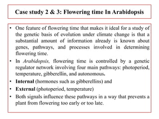 Case study 2 & 3: Flowering time In Arabidopsis
• One feature of flowering time that makes it ideal for a study of
the genetic basis of evolution under climate change is that a
substantial amount of information already is known about
genes, pathways, and processes involved in determining
flowering time.
• In Arabidopsis, flowering time is controlled by a genetic
regulator network involving four main pathways: photoperiod,
temperature, gibberellin, and autonomous.
• Internal (hormones such as gibberellins) and
• External (photoperiod, temperature)
• Both signals influence these pathways in a way that prevents a
plant from flowering too early or too late.
 