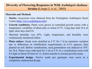 Diversity of Flowering Responses in Wild Arabidopsis thaliana
Strains (Lempe J, et al., 2005)
Materials and Methods
• Stocks- Accessions were obtained from the Nottingham Arabidopsis Stock
Centre (http://www.arabidopsis.info)
• Growth conditions- Plants were grown in controlled growth rooms with a
temperature variability of about plus or minus 0.10C. Long days had 16 h of
light, short days had 8 h.
• Maximal humidity was 65%. Light, temperature, and humidity were
continuously monitored online.
• Plant culture- Seeds were stratified at 4 0C for 7 d (to minimize variation
due to differences in stratification requirements) in 0.1% agarose, then
planted on soil. Before vernalization, seed germination was induced at 160C
for 24 h. Plants were cultivated for 5 wk at 4 0C in a vernalization room with
8 h light of about 50 lmol m2 s1, before transfer to normal growth rooms.
• Experimental design- Twelve seeds per genotype were sown in a
completely randomized design
 