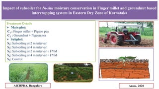 Impact of subsoiler for In-situ moisture conservation in Finger millet and groundnut based
intercropping system in Eastern...