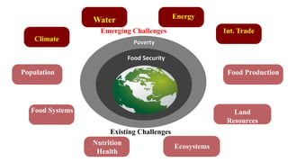 Food Security
Poverty
Food Production
Land
Resources
Ecosystems
Nutrition
Health
Food Systems
Population
Climate
Energy
In...
