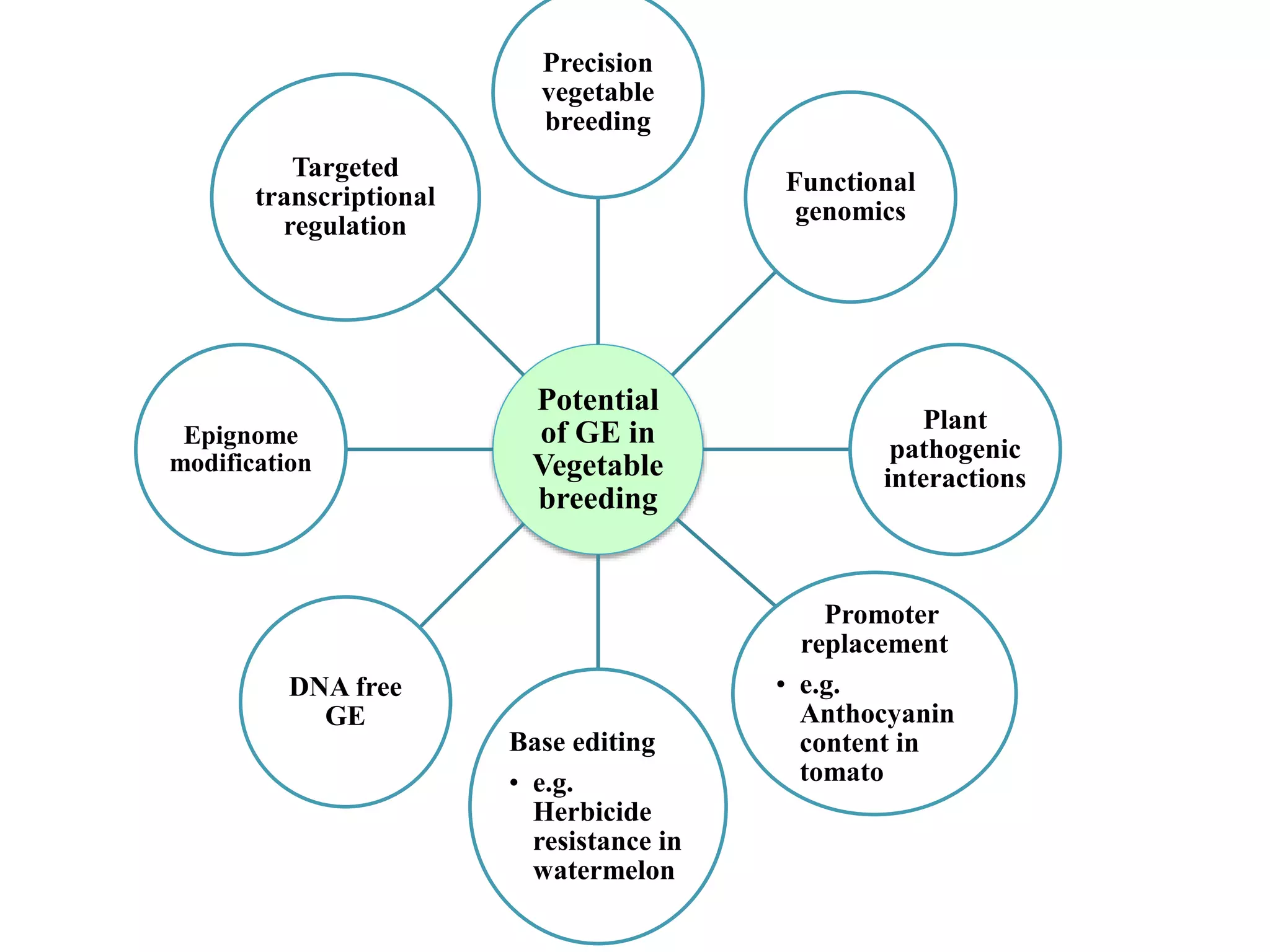 Applications and potential of genome editing tools in vegetable ...