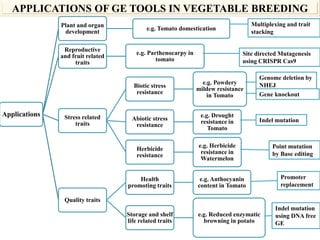 Applications and potential of genome editing tools in vegetable ...