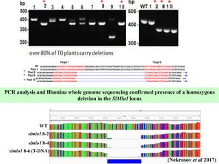 Applications and potential of genome editing tools in vegetable ...