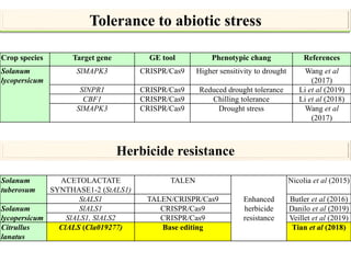 Applications and potential of genome editing tools in vegetable ...
