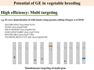 Applications and potential of genome editing tools in vegetable ...