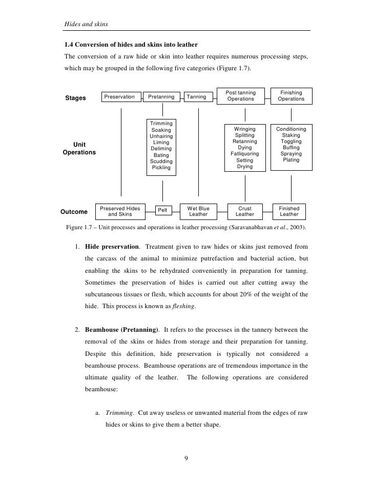 about hobby essay nature and nurture