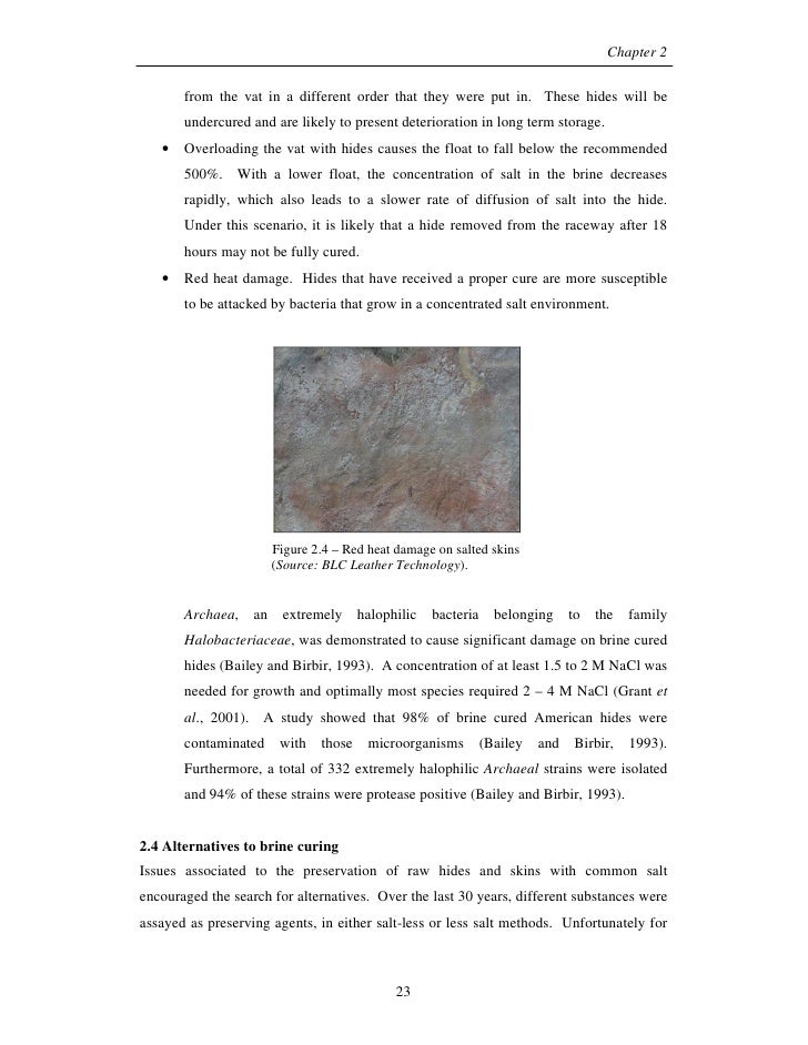 persuasive essay parts ppt