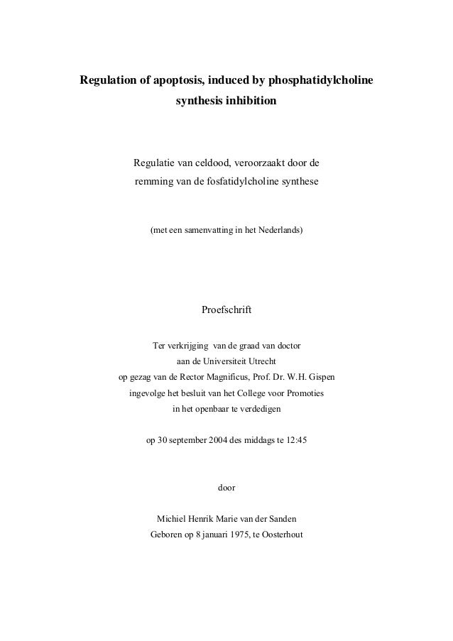 Phd thesis organic synthesis