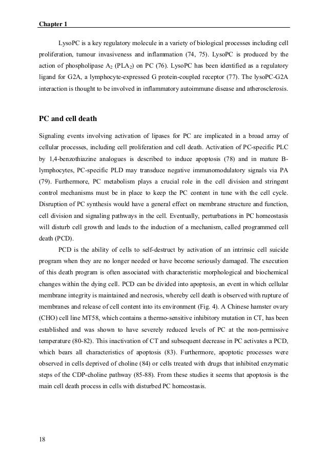 Dissertation 2004
