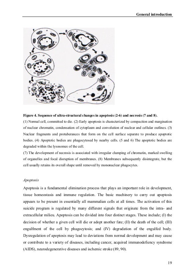 Dissertation 2004