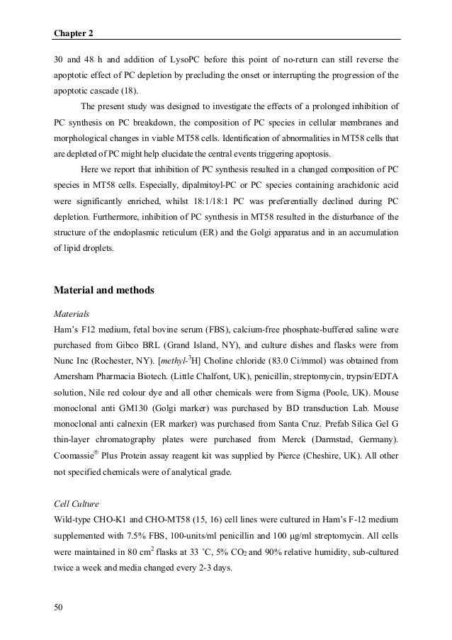 Help Dissertation Writing services dissertation 2004