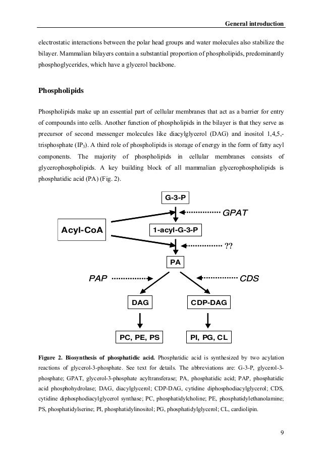 Dissertation 2004