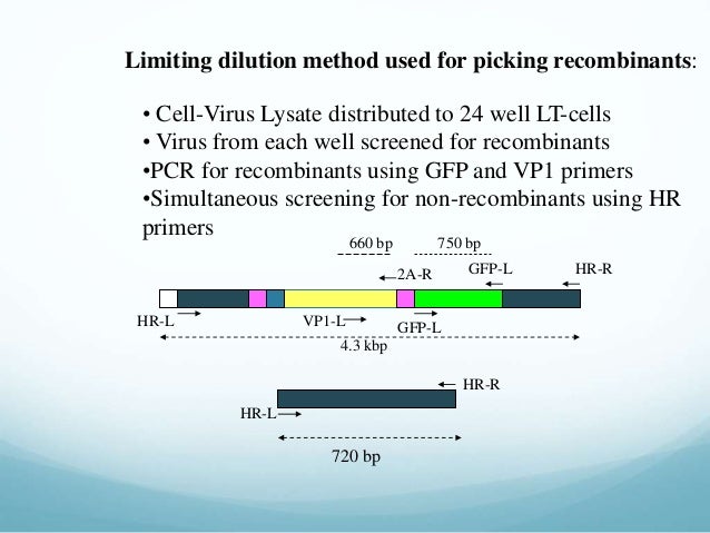 Phd thesis cloning