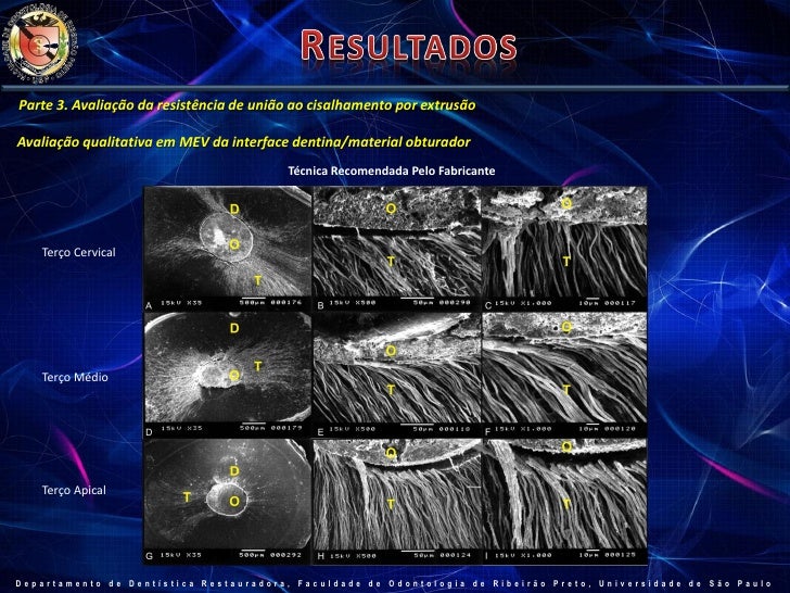 Marco dorigo phd thesis