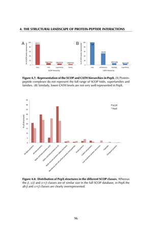 4. THE STRUCTURAL LANDSCAPE OF PROTEIN-PEPTIDE INTERACTIONS
A B
Figure 4.7: Representation of the SCOP and CATH hierarchies in PepX. (A) Protein-
peptide complexes do not represent the full range of SCOP folds, superfamilies and
families. (B) Similarly, lower CATH levels are not very well represented in PepX.
0
5
10
15
20
25
30
35
40
45
AllalphaproteinsAllbetaproteins
Alphaand
betaproteins(a/b)
Alphaand
betaproteins(a+b)
M
ulti-dom
ain
proteins(alphaand
beta)
M
em
brane
and
cellsurface
proteinsand
peptides
Sm
allproteins
Coiled
coilproteins
Low
resolution
protein
structures
PeptidesDesigned
proteins
%ofstructures
SCOP
PepX
Figure 4.8: Distribution of PepX structures in the different SCOP classes. Whereas
the β, α/β and α+β classes are of similar size in the full SCOP database, in PepX the
all-β and α+β classes are clearly overrepresented.
96
 