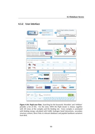 4.3 Database Access
4.3.2 User interface
Figure 4.10: PepX user ﬂow. Searching for the keywords ‘thrombin’ and ‘inhibitor’
provides a list of hits. For the entry 1BTH the PepX cluster is shown, together
with 3D views of the complex and the binding site. Every complex is annotated
with binding energy calculated with FoldX, hydrogen bond interactions, secondary
structure content, direct links to relevant databases and peptide backbone variations
from BriX.
99
 