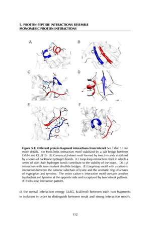 5. PROTEIN-PEPTIDE INTERACTIONS RESEMBLE
MONOMERIC PROTEIN INTERACTIONS
A B
C D
E F
Figure 5.1: Different protein fragment interactions from InteraX See Table 5.1 for
more details. (A) Helix-helix interaction motif stabilized by a salt bridge between
LYS54 and GLU110. (B) Canonical β-sheet motif formed by two β-strands stabilized
by a series of backbone hydrogen bonds. (C) Loop-loop interaction motif in which a
series of side chain hydrogen bonds contribute to the stability of the loops. (D) α-β
interaction with two covalent disulfide bridges. (E) Loop-loop motif with a cation-π
interaction between the cationic sidechain of lysine and the aromatic ring structures
of tryptophan and tyrosine. The entire cation-π interaction motif contains another
tryptophan and tyrosine at the opposite side and is captured by two InteraX patterns.
(F) Helix-loop interaction pattern.
of the overall interaction energy (∆∆G, kcal/mol) between each two fragments
in isolation in order to distinguish between weak and strong interaction motifs.
112
 