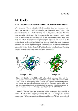 6.2 Results
6.2 Results
6.2.1 Peptide docking using interaction patterns from InteraX
We researched whether InteraX motifs (interactions between monomeric frag-
ments, see Section 5.2.1) contain the predictive capacity for the docking of rigid
peptide structures in a selected binding site on the protein interface. For nine
protein-peptide complexes – the centroids of nine representative clusters from
PepX, accounting for approximately half of our protein-peptide data set (Figure
4.1) – we rebuilt the interfaces using the original sequence and structure of the
peptide in the binding pocket, but without previous knowledge of the interaction
pattern of the protein-peptide complex. The sidechains of the interface residues
are rebuilt with the all-atom force field FoldX and ranked based on the ∆∆G binding
energy. The algorithm is described in detail in Section 6.3.
1w9qB + S1w9qB + 1k6z
Figure 6.1: Docking of the PDZ peptide using InteraX patterns. At the left, the
superposition between the BriX protein (PDB 1K6Z, grey) and the PDZ domain (PDB
1W9Q, cyan) on the receptor β-strand is shown. The fragments from the BriX protein
are colored blue, the receptor fragment from the PDZ domain is colored green. At
the right, the peptide ligand according to the interaction motif from the BriX protein is
shown (red), superposed on the original ligand (yellow), with RMSD 0.29 Å.
In four of the nine cases, we are able to position the original peptide ligand to
within 1 Å RMSD of the original position (Table 6.1). For example, the peptide
bound to the PDZ domain can be positioned to within 0.29 Å RMSD of the original
135
 
