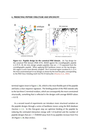 6. PREDICTING PEPTIDE STRUCTURE AND SPECIFICITY
His196
Thr-2
Val0
Ser-1
Glu-3
Glu-4
Arg136
carboyxlate-binding loop
0 2 4 6 8
0
RMSD (design to crystallographic peptide) (Å)
EstimatedDDGinteractionFoldX,kcal/mol
●
●
●
●
●
●
●
●
●
●
●
●
●
●
●
●
●
●
● ●
●
●
●
●
●
●
●
●
●
●
●
●
●
●
●
●
●
●
●
●
●
●
●
●
●
●
●
●
●
●
●
●
●
●
●
●
●
●
●
●
● ●
●
●
●
●
●
●
●
●
●
●
●
●
●
●
●
●
●
●
●
●
●
●
●
●
●
●
●
●
●
●
●
●
●
●
●
●
●
●
●
●
●
●
●
●
●
●
●
●
●
●
●
● ●
● ●
●
●
●
●
●
●
●
●
●
●
●
●
●
●
●
●
●
●
●
●
●
●
●
●
●
●
●
●
●
●
●
●
●
● ●
●
●
●
●
●
●
●
●
●
●
●
●
●
●
●
●
●
●
●
●
●
●
●
●
●
●
●
●
●
●
●
●
●
●
●
●
●
●
●
●
●●
●
●
●
●
●
●
●
●
●
●
●
●
● ●
●●
●●
●
●
●
●
●
●
●
●
●
●●
●
●
●
●
●●
●
●
●
●
●
●
●
●
●
●
●
●
●
●
●
●
●
●
●
●
●
● ●
●
●
●
●
●
●
●
●
●
●
●
●
●
● ●
●
●
●
●
●
●
●
●
●
●
● ●
●
●
●
●
●
●
●
●
●
●
●
●
●
●
●
●
●
●
●
●
●
●
●
●
●
●
●
●
●
●
●
●
●
●
●
●
●
● ●
●
●
●
●
●
●
●
●
●
●
●
●
●
●
●
●
● ●
●
●
●
●
●
●
●
●
●
● ●
●
●
●
●
●
●
●
●
●
●
●
●
●
●
●
●
●
●
●
● ●
●
●
●
●
●
●●
●
●
●
●
●
●●
●
●
●
●
●
●
●
●
●
●
●
●
●
●
●
●
●
●
●
●
●
●●
●
●
●
●
●
●
●
●
●
●
●
●
●
●
●
●
●
●
●
●
●
●
●
●
●
●
●
●
●
●
●
●
●
●
●
●●
●
●
●
●
●
●
●
●
●
●
●
●
●
●
●
●
●
●
●
●
●
●
●
●
●
●
●
●
●
●
●
●
●
●
●
●
●
●
●
● ●
●●
● ●
●
●
●
●
●
●
●
●
●
● ●
●
●
●
●
●
●
●
●
●
●
●
●
●
●
●
●
●
●
●
● ●
●
●
● ●
●
●
●
●●
●
●
●
●
●
●
●
●
●
●
●
●
●
●
●
●
●
●
●
●
●●
●
●
●
●
●
●
●
●●
●
●
●
●
●
●
●
●
●
●●
●
●
●
●
●
●
●
●
●
●
●
●
●
●
●
●
●
●
●
●
●
●
●
●
●
●
● ●
●
●●
●
●
●
●
●
●
●
● ●
●
●
●
●
●
●
●
●
●
●
●
●
●
●
●
●
●
●
●
●
●
●
●●
●
●
●
●
●●
●
●
●
● ●
●
●
●
●
●
● ●
●
●
●
●
●
●
●
●
●
●●
●
●
●
●
●
●
●
●
●
●
●
●
●
●
●
●
●●
●
●
●
●
●
●
●
●
●
●
●
●
●
●
●
●
●
●
●
●
●
●
●
●
●
●
● ●
●
●●
●
●
●
●
●
●
●
●
●●
●
●
●●●
●
●
●
●
●
●
●
●
●
●
●
●
●
●
●
●
●
●
●
●
●
●
●
●
●
●
●
●
●
●
●
●●
●
●
●
●
●
●
●
●
●
●
●●
●
●●
●
●
●
●
●
●
●
●
●●
●
●
●
●
●
●
●
●
●●
●
●
● ●
●
●
●
●
●
●
●
●
●
●
●
●
●
●
●
●
●
●
●
●
●
●
●
●
●
●
●
●
●
●
●
●
●
●
●
●
●
●
●
●
●
●
●
●
●
●
●
●
●
● ●
●
●
●●
●
●
●
●●
●
●
●
●
●
●
●
●
●
●
●
●
●
●
●
●
●
●
●
●
●
●
●
●
●
●
●
●
●
●
●
●
●
●
●
●
● ●
●
●
●
●
●
●
●
●
●
●
●
●
●
●
●
●
●
●
●
●
●
●
●
●
●
●
●
●
●
●
●
●
●
●
●
●
●
●
●
●
●
●
●
●
●
●
●
●
●
●
●
● ●
●
●
●
●
●
●
● ●
●
●
●
●
●
●
●
●
●
●
●
●
●
●
●
●
●
●
●
●
●
●
●
PDZ1 (closed loop)
●
●
Ab initio design
BriX refinement
A B
wildtype
design
RMSD per residue
-4 -3 -2 -1 0
Figure 6.2: Peptide design for the canonical PDZ domain. (A) Top design for
the canonical PDZ domain (PDB 2I1N). RMSD against the crystallographic peptide
is 0.79 Å. (B) Ab initio design samples peptides that are < 1 Å separated from the
crystallographic peptide. When applying BriX backbone moves on the top designs,
this region is even more densely sampled. The C-terminal region (residues 0,-1,-2) is
the most constrained part in our designs as shown by the inset box plot, corresponding
to the PDZ Class I binding motif (Ser/Thr-X-Val/Leu/Ile) (Nourry et al., 2003).
terminal region (inset in Figure 6.2B), which is the most flexible part of the peptide
and lacks a clear sequence signature. The binding pocket of the PDZ extends only
to the last three C-terminal residues, which are consequently the most constrained
structurally, something that is reflected in the designs with average RMSD values
< 0.5 Å.
In a second round of experiments we introduce more structural variation on
the peptide designs through a series of backbone moves using the BriX database
(Section 6.3.2). In this fine-grain step we optimize binding of the peptide by
reducing the estimated interaction energy with 1.8 kcal/mol and the number of
peptide designs that are < 1 Å RMSD away from X-ray peptides increase from 9 to
38 (Figure 6.2B, blue circles).
138
 
