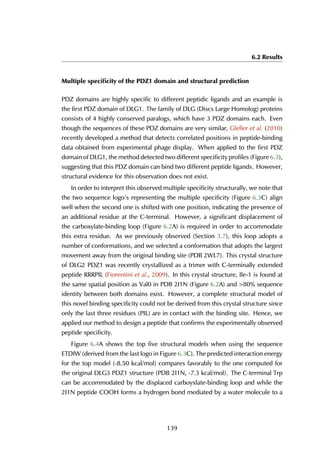 6.2 Results
Multiple speciﬁcity of the PDZ1 domain and structural prediction
PDZ domains are highly specific to different peptidic ligands and an example is
the first PDZ domain of DLG1. The family of DLG (Discs Large Homolog) proteins
consists of 4 highly conserved paralogs, which have 3 PDZ domains each. Even
though the sequences of these PDZ domains are very similar, Gfeller et al. (2010)
recently developed a method that detects correlated positions in peptide-binding
data obtained from experimental phage display. When applied to the first PDZ
domain of DLG1, the method detected two different specificity profiles (Figure 6.3),
suggesting that this PDZ domain can bind two different peptide ligands. However,
structural evidence for this observation does not exist.
In order to interpret this observed multiple specificity structurally, we note that
the two sequence logo’s representing the multiple specificity (Figure 6.3C) align
well when the second one is shifted with one position, indicating the presence of
an additional residue at the C-terminal. However, a significant displacement of
the carboxylate-binding loop (Figure 6.2A) is required in order to accommodate
this extra residue. As we previously observed (Section 3.7), this loop adopts a
number of conformations, and we selected a conformation that adopts the largest
movement away from the original binding site (PDB 2WL7). This crystal structure
of DLG2 PDZ1 was recently crystallized as a trimer with C-terminally extended
peptide RRRPIL (Fiorentini et al., 2009). In this crystal structure, Ile-1 is found at
the same spatial position as Val0 in PDB 2I1N (Figure 6.2A) and >80% sequence
identity between both domains exist. However, a complete structural model of
this novel binding specificity could not be derived from this crystal structure since
only the last three residues (PIL) are in contact with the binding site. Hence, we
applied our method to design a peptide that confirms the experimentally observed
peptide specificity.
Figure 6.4A shows the top five structural models when using the sequence
ETDIW (derived from the last logo in Figure 6.3C). The predicted interaction energy
for the top model (-8.50 kcal/mol) compares favorably to the one computed for
the original DLG3 PDZ1 structure (PDB 2I1N, -7.3 kcal/mol). The C-terminal Trp
can be accommodated by the displaced carboyxlate-binding loop and while the
2I1N peptide COOH forms a hydrogen bond mediated by a water molecule to a
139
 