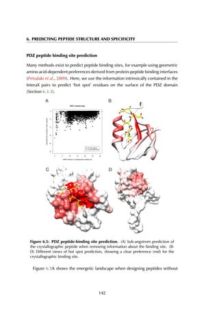 6. PREDICTING PEPTIDE STRUCTURE AND SPECIFICITY
PDZ peptide binding site prediction
Many methods exist to predict peptide binding sites, for example using geometric
amino acid-dependent preferences derived from protein-peptide binding interfaces
(Petsalaki et al., 2009). Here, we use the information intrinsically contained in the
InteraX pairs to predict ‘hot spot’ residues on the surface of the PDZ domain
(Section 6.3.3).
0 5 10 15 20 25 30
0
RMSD (design to crystallographic peptide) (Å)
EstimatedDDGinteractionFoldX,kcal/mol
● ●
●
●
●
●
●
●
●
●
●
●
●
● ●
●
●
●
●● ●●
●●
● ●
●
●
●
●
●
●
●●
●
●
●
●
●
●
●
●
●
●
●
●
●
●
●
●
●
●
●●
●
●
●
●
●
● ●
●●
●
● ● ●
●
● ●
●
●
●
●
●
●
●
●
●
●
●
●●
●
●
●
● ●
●
● ●
●
●
●● ●
●
● ●
●
● ●
●
●
●
●
●
●
●
●
●
●
●●
●
●
●
●
●●
●
●
●●
●
●
●
●
●
●
●
●●
●
●
●
●
●
●
●
●
●
●
●
●
●
●
●● ●
●
●
●
●
●●
●●
●
●
●
●
●
●
● ●
●●
●
●
●
●
●
●
●
●
●
●
●●
●
●
●
●
●
● ● ●
●
●
●
●
●
●
●
●
●
●
●
●
●
●
●●
●
●
●
●
●
●●
● ●
●
●
●
●
●
●●
●
●●
●
●
●
●
●
●
●
●
●
●
●
●
●
●
●
●
●●
●
●
●
●
●●
●
● ●
●
●
●
●
●
●
●
●
●
●
●
●
●
●
●
●
●
●●
●
●
●
●
●
●
●
●●
●
●
● ●
●
●
●
●
●
●
● ●
●
●
●
●
● ●
●
●
●
●
●
●
●
●●
●
●
●
●
●
● ●
●
●
●
●
●
●
●
●
●
●
●
●
●
●
●
●
●
●
●
●
●
●●
●
●
●●
●
●
●
●
●
●
●
●
● ●
●
●
●● ●
●
●
●
●
●
●
●
●
●
●
●
●
●
●
●
●
●
●●
●
●
●
●
●
● ●●
●
●
●
●
●●
●●
●
●
● ●
●
●
●
●
●
●
● ●
●●
●
●
●
●
●●
●
●
●
●
●
●
●
●
●
●
●
●
●
● ●
●
●
●
●
●
●
●
●
●
●
●
●
●●
●
●
●
●
●
●
●
●
●
●●
●
●
●
●
●
●
●
●
●
●
●
●
●
●
●
●
●
●
●
●
●●
●
●
●
●
●
●
●
●
●
●
●
●
●
●
●
●
●
●
●
●
●
●
●
●
●
●
●
●
●
● ●
●
●
●
●
●
●●
●
●
●
●
●
●
●
●
●
●
●
●
●
●
●
●
●● ● ●● ●
●
●
●●
●
●
●
● ●
●●
●
●
●
●
●
●
●
●●
●●
●
●
●
●
●
●
●
●
●● ●
●
●
●
●
●
●
●
●●●
● ●
●
●
●● ●
●
● ●
●
●
●
●
●
●●
●
●
● ●●
●
●
●
●●
●
●
●
●
●
●
●
●
●
●
●
●
●
●
●
●
●
●
●
●
●
●●
●
●
●
● ●
●
●
●
●●
●
●
●●
●
●
●
●
●
●
●
●
●
●
●
●
●
●
●
●
●
● ●
●
● ●
●
●
●
●
●
●
●
●
●
●
●
●
●
●
●
●
●
●
●
●
●
●
●
●
●
●
●
●
●
●
●
●
●
●
●
●
●
●
●
●
●
●
●
●
●
●
●
●
●
●
●
●
●
●
●●
●
●
●
●●
●
● ●
●
●
● ●
●
●
●
●
●
●●
●●
●
●
●●
●
●
●
●
●
●
●
●
●
●
●
●
●
●
●
●●
●
● ●
●
● ●
●
●
●
●
●
●
●
●
●
●
●
●
●
●
●
●
●
●●●
●
●
●
●
●
●
●
●
●
●
●
●
●
●
●
●
●
●
●
●
●●
●
●
●
●
● ●
● ●
●
●
●
●
●
●
● ●
●
●
●
● ●
●
●
●
●
●
●
●
●
●
●
● ●●
● ●●
●
●
●
●
●●
●
●
●
●
●
●
● ●
●
●
●
●
● ●
●
● ●
●
●
●
●
●
●
●
●
●
●
●
●
●●
●
●
●
●
●
●
●
●
● ●
●
●
●
●
●
●
●
●
●
●
●
●●
●
●
●
●
●
●
●●
●
●
●
●
●
●
●
●●
●
●
●
●
●
●
●
●● ●
●
●
●
●
●
●
●
● ●●
●●
●
●
●
● ●
●
●
●
●
●
● ●●
●
●
●
●
●
●
●
●
●
●
●
●
●
●
●
●
●
●
● ● ●
●
●
●
●
●
●
●
●●
●
●
●
●
●
●
●●
●
●
●
●
●
●
●
●
●
●
●
●
●
●
●
●
●
●
●
●
●
●
●
●●
●
●
●
●
● ●
●
●●
●
●
●
●
●
●
●
●
●
●●
●
●
●●
●
●●
●
●
●
●
●
●
●
●
●
●
●
●
●●
● ●
●●
●
●
●
●
●
●
●
●
●
● ●
● ●
●
●
●
●
●
●
●
● ●
●
●
●
●
●
●●
●
●●
●
●
●
●
●
●
●
●
●
●
●
●
●
●
●
●
●
●
●
●
●
●
●●
●
● ●●
●
●
●
●
●
●
●
●
●
●
●
●
●
●
●● ●
●
●
●
● ●
●
● ●
●
●
●
●
●
● ●●
●
●
● ●
●
●
●
●
●
●
●
●
●
●
●
● ●
●
●
●
●
●
● ●
●
● ●
●
●
●
●
●
●
●
●
●
●
●
●
●
●
●
●
●
●
●
●
●
●
●
●
●
●
●
●
●
●
●
●
●
●
●
●
●
● ●
● ●
●
●
●
●●
●●
●
● ●
● ●
●
●
●
●
●●
●
●
●
●
●
●
●
●
●
●
●
●
● ●●
●
●
●
●
●
●
●
●
●
●
● ●●
●
●
●
●
●●
●
●
●
●
●
●
● ●●
●
●
●
●
●
●
●
●
●
● ● ●
●
●
●
●
●
●
●
●
●
●
●
●
● ●
●
●
●
●
●
● ●
●
●
●
●
●
●
●
●●
●
●
●
●
●
●
●
●
●
●
●
●
●
●
●
●
●
● ●●●
●
●
●
●
●
●
●
●
●
●
●
●
●
●
●
●
● ●●
●
●
●
●
●
●
●●
●
● ●
●
●
●
●●
●
●
●
●
●
●
●
●
●
●
●
●
●
●
●
●
●
●
●
●
●
●
●
●
●
●
●
●
●
●
●
●
●
● ●
●
●
● ●
●
●
● ●
●
●●
● ●
●
●
●
●
●
●
●
●
●
●
●
●
●
●
●
●
●
●
●●
●
●
●
●
● ●●
●
●
●
●
● ●
●
●
●
●
●
●
●
●
●
●
●
●
●
●
●
●
●
●
●
● ●
●
●
● ●
●
●
●
●
●
●●
●
●
●
●
●
● ●
●
●
●
●
●
●
● ●
●
●●
●
●
●●
●
● ●
●
●
●
●
●
●
●
●
●
●
●
● ●
●
● ●
●
●
●
●
●
●
●
●
●
● ●
●
●
●
●
●
●
●
●
●
●
●
●
●
●
●
●
●
●
●●
●
●
●
●
●
●
●
●● ●
●
●●
●
●
●
●
●
●
●
●
●
●●
●
●
●
●
●
●
●●
●
●
● ●●
●
●
●
●
●
●
●
●
●
●●
●
● ●
●
●
●
●●
●
●
●
●
● ●
●
●
●
●
●
●
●
●
● ●
● ●
● ●
●
●
●
●
●
●
●
●● ●
● ● ●
●
●●
●
●
●
●
● ●
●
●●
●
●
●
●● ●
●
●
●
●
●
●
●
●
●
●
●
●
●
●
●
●
●
●
●
●
●
● ●
●
●
●
●
●
●
●
●
●
● ●
●
●
●
●
●
●
●
●
●
●
●
●
●
●
●
●
●
●
● ●
●
●
●
●
●
●
●
●
●
●
●●
●
●●
●
●
●
●
●
●
●
●
●●
● ●
●
●
● ●
●●
●
● ●
●
●
●● ● ●
● ●
●
●
● ●
●
●
●
●
●
●
●
● ●●
●
●
●
●
●
●
●
●
●
●
●
●
●
●
●
●
●
●
●
●
●
●
●
●
●
●
●
●
●
●
●
●
●
●
●
●
●
●
●
●
●
●
●
●
●
●
●
●
●
●
●
●
●
●●
●
●●
●
●
●
●
●●
●
●
●
●
●●
●
● ●
●
●
●
●
●
●
●
●
●● ●
●●
●
● ●
●
●●
● ●
●
●
●
●
●
●
● ●
●
●
●
●
●●
● ●●
●
●
●
●
●
●
●
●
●
●
● ●
●
●
●
●
●
●
●
●
●
●
●
●
●
●
●
●
●
●
●
●
●
●
●●
●
●
●
●
●
●
●
●
●
●
●
●
●
●
●
●
●
●
●
●
●
●
●
●
●
●
●
●●
●
●
●
●
●
●
●
●
●
●
●
●
●
●
●
●
●
● ●
●
●●
●
●
● ●
●
●
●
●
●●
●
●
●
●
●●
●
●
●
●
●
● ●
●
●
●
●
●
●
●
●
●
●
●
●
●
●
●
●
●
● ● ●
●
●
●
●
●
●
●
●
●
●
●
●
●
●
●●
●
●
●
●
●
● ●
●
●
●
●
●
●
●
●
●
●
●
●
●
●
●●
●
●
●
●
●●
●
●
●
●
●
●
●●
●●
●
●●
●●
●
●
●
●
●
●
●
●
●
●
●
●
●
●
●
●
●
●
●
●
●
●
●
●
●
●
●
●
●
●
●
●
●
●●
●●
●
●
●
●
●
●
●
●
●
●
●
●
●●
●●
●
● ●
●
●
●●
● ●
●
●
●
●
●
●
●
●
●
●
●
●
●
●
●
●
●
●
●
●
● ●● ●
●
●
●
●
●
●
●●
●
●
●
● ●
●
●
●
●
●
●
●
●
●
●
●
●●
●
●
●
●
●
●
●●
●●
●
●
●
●
●
●
●
●
●
●
●
●
●●● ●
●
●●
●● ●
●
●
●●
●
●
●
●
●
●
●
●
●
●
●
●
●
●
●
●●
●●
●
●
●
●
●
●
●●
● ● ●
●
●●
●
● ●
●
●
●
●
●
●
●
●
●●
●
●
●
●
●
●
● ●
●
●
●
●
●
●●
●
●
● ●
●
●
●
●
●
●
●
●
●
● ●● ●
●
●
●
●
●
●
●
●
●
●
●
●
●
●
●
●
●
●●
●
●
●
●
●
●
● ●
●
●
●
● ●
●
●
●
●
●
● ●
●
●
●
●
●
●
●
●
● ●
●
●
●
●● ●
●
●●
●
●
●
●
●
●
●●
●
●
●
●
●
●●
●
●
●
●
● ●
●
●
● ●
●
●
●●
●
●
●
●●
●●
●
●
●
● ●●
●●
●
●
●
●
●
● ●●
●
●
●
●
●
●
●
●
●
●
●
● ●●
●
●
●
●
●
●
●
●
●
●
●●
●
●
●
●
●●
●
●
●
●
●
●
●
● ●●● ●
●
●
●●
● ●
●
● ●
●
●
●
●
●
●
●
●●
●
●
●●
●
●
●
●
●
●
● ●
●
●
●
●
●
●
●
●
●
●
●
●
●
● ●
●
●
●
●
●
●
●
●
●
●
●
●
●
●
●
●
●
●
●
●
●
●
●
●
● ●
●
●
●
● ●
●
●
● ●
●
●
●
●
●
●
●
●
● ●
●
●
●
● ●
●
●●
●
●
●
●
●
● ●
●
●
●●
●
●
●
●
●
●
●
●
●
●
●
● ●
●
●
●
●
●
●
●
●●
●
●●
●
●
●
●
●
●
●
●
●
●
●
●
●
●
●
●
●
●
●
●
●
●
●
●
●
●
●
●
●
●
●
●
●●
●
●
●
●
●
●
●
●
●
●●
●
●
●
●●
●
●
●
●
●
●
●
●
●
●
●
●
●
●
●●
●
●
●
●
●
●
●
●
●
●
●
●
●
● ●
●●
●
●
●
●
●
●
●
●
●
●
●
●●
●
●
●
●
●
●
●
●
●
●
●
●
● ●
●
●
●
●
●
●
● ●
●
●
●
●
●
●
●
●
●
●
●
●
●
●
●
●
●
●●
● ●
●●
●●
●
●
●
●
●
●
● ●
●
●
●
●
●
●
●
●
●
●
●
●
●
●
●
●
●●
●
●
●
●
●
●
●
●
●
●
●
●● ●
●
●
●
●
●
●
●
●
●
●
●
●
●
●
●
●
●
●
●
●
●
●
●
●
● ●
●
● ●
●
●
●
●
●
●
●
●●
●
●
●●
●
●
●
●
●
●
●
●
●
●
●
●
●
●
●
●
●
●
●●
●
●●
● ●
●
●
●
●
●
●●
●
●
●
●
●
●
●
●
●
●
●●
●
●
●
●
●
●
●
●
●
●
●
●
●●
●
●
●
●
●
●
●
●
●
●
●
●
●
●
●●
●
●
●
●
● ●
●
●
●
●
● ●
●
●●
●
●
●
●
●●
●
●
●
●
●●
●
●
●
● ●
●
●
●●● ●● ●
●
●
●
●
●
●
●
●
●
●
●●
●
●
●
●
●
●
●
●
●
●
●
●
●
●
●
●
●
●
●
●
●●
●
●
●
●
●
●
●
●
●
●
●
●
●
●●
●
●
●
●
●
●
●
●
●
●
●
●
●
●
●
●
●
●
●
●●●
●
●
●
●
●
●
●
●
●
●
● ●●
●
●
●
● ●
●
●●
● ●
●
●
●
●
●
●
●
●
●
●
●
●
●●
●
●
●
●
●
●
●
●
●
●
●
●
●
●
●
●
●
●
●
●
●
●
● ●
●
●
●
●
●
●
●
●●
●●
●
●
● ● ●
●
●
●
●
●
●
●
●
● ●
●
●
●
●
●
●
●
●
●
●
●
●
●
●
●
●
●
●
● ●
●
●
●
●
●
●
●
●
●
●
●
●
●
●
●
●
●
●
PDZ1 (closed loop)
●
●
●
Ab initio design
A B
C D
Figure 6.5: PDZ peptide-binding site prediction. (A) Sub-angstrom prediction of
the crystallographic peptide when removing information about the binding site. (B-
D) Different views of hot spot prediction, showing a clear preference (red) for the
crystallographic binding site.
Figure 6.5A shows the energetic landscape when designing peptides without
142
 