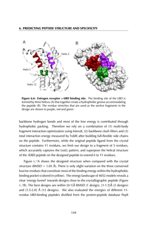 6. PREDICTING PEPTIDE STRUCTURE AND SPECIFICITY
Helix 3
Helix 5
Helix 12
A B
Figure 6.6: Estrogen receptor α-LBD binding site. The binding site of the LBD is
formed by three helices (A) that together create a hydrophobic groove accommodating
the peptide (B). The residue stretches that are used as the anchor fragments in the
design are shown in purple, red and green.
backbone hydrogen bonds and most of the free energy is contributed through
hydrophobic packing. Therefore we rely on a combination of (1) multi-body
fragment interaction optimization using InteraX, (2) backbone clash filters and (3)
total interaction energy measured by FoldX after building full-flexible side chains
on the peptide. Furthermore, while the original peptide ligand from the crystal
structure contains 11 residues, we limit our design to a fragment of 5 residues,
which accurately captures the LxxLL pattern, and superpose the helical structure
of the 3ERD peptide on the designed peptide to extend it to 11 residues.
Figure 6.7A shows the designed structure when compared with the crystal
structure (RMSD = 1.05 Å). There is only slight variation on the three conserved
leucine residues that constitute most of the binding energy within the hydrophobic
binding pocket (colored in yellow). The energy landscape of 4052 models reveals a
clear ‘energy funnel‘ towards designs close to the crystallographic peptide (Figure
6.7B). The best designs are within [0-1]Å RMSD (1 design), [1-1.5]Å (2 designs)
and [1.5-2.0] Å (13 designs). We also evaluated the energies of different 11-
residue LBD-binding peptides distilled from the protein-peptide database PepX
144
 
