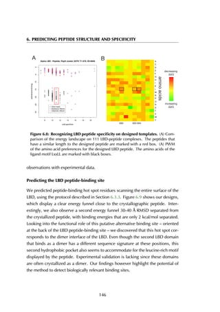6. PREDICTING PEPTIDE STRUCTURE AND SPECIFICITY
A B
8 10 12 14 16 18 20
-30-25-20-15-10-50
Alpha LBD - Peptide, PepX cluster 2GTK T1 A75, ID=4845
px$LigandSize
px$InteractionEnergy
DDG FoldX
Backbone HBond
Sidechain HBond
687
688
689
690
691
692
693
694
695
696
697
Y
W
V
T
S
R
Q
P
N
M
L
K
I
H
G
F
E
D
C
A
Y
W
V
T
S
R
Q
P
N
M
L
K
I
H
G
F
E
D
C
A
690 693 694
aminoacids
R
T
Decreasing
Increasing
decreasing
increasing
Figure 6.8: Recognizing LBD peptide speciﬁcity on designed templates. (A) Com-
parison of the energy landscape on 111 LBD-peptide complexes. The peptides that
have a similar length to the designed peptide are marked with a red box. (A) PWM
of the amino acid preferences for the designed LBD peptide. The amino acids of the
ligand motif LxxLL are marked with black boxes.
observations with experimental data.
Predicting the LBD peptide-binding site
We predicted peptide-binding hot spot residues scanning the entire surface of the
LBD, using the protocol described in Section 6.3.3. Figure 6.9 shows our designs,
which display a clear energy funnel close to the crystallographic peptide. Inter-
estingly, we also observe a second energy funnel 30-40 Å RMSD separated from
the crystallized peptide, with binding energies that are only 2 kcal/mol separated.
Looking into the functional role of this putative alternative binding site – oriented
at the back of the LBD peptide-binding site – we discovered that this hot spot cor-
responds to the dimer interface of the LBD. Even though the second LBD domain
that binds as a dimer has a different sequence signature at these positions, this
second hydrophobic pocket also seems to accommodate for the leucine-rich motif
displayed by the peptide. Experimental validation is lacking since these domains
are often crystallized as a dimer. Our findings however highlight the potential of
the method to detect biologically relevant binding sites.
146
 