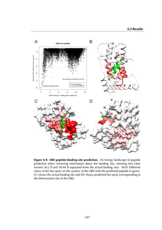 6.2 Results
0 10 20 30 40 50
RMSD (design to crystallographic peptide) (Å)
EstimatedDDGinteractionFoldX,kcal/mol
3ERD (full peptide)
●
●
●
Ab initio design
A B
C D
peptide binding site
dimerization binding site (D)
Figure 6.9: LBD peptide-binding site prediction. (A) Energy landscape of peptide
prediction when removing information about the binding site, showing two clear
funnels (0-2 Å and 30-40 Å separated from the actual binding site). (B-D) Different
views of the hot spots on the surface of the LBD with the predicted peptide in green:
(C) shows the actual binding site and (D) shows predicted hot spots corresponding to
the dimerization site of the LBD.
147
 